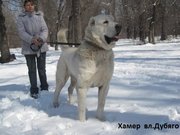 П-к