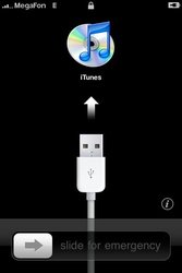Разблокировка IPHONE в Алматы,  сделать iphone в алматы не дорого,  разблокируем iphone в алматы,  убрать шнурок itunes на экране iphone в алматы,  прокачка ipad,  iphone,  ipod в алматы