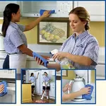 Няни, гувернантки, домработницы, уборка квартиры.