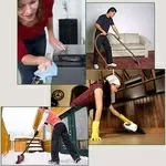 Сиделки, помощники и помощницы по хозяйству.