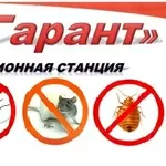 уничтожение крыс,  клопов,  тараканов,  комаров,  блох,  мух,  клещей,  обраб