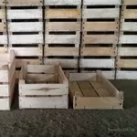 Изготовление деревянных ящиков,  контейнеров. Любых размеров