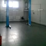 Компания Срочно продает подъемники для Автосервиса