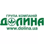 Украинская группа компаний «Долина» ищет партнеров 