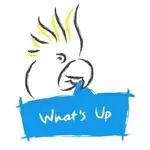 Языковые курсы What's Up