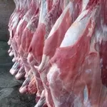 Мясо Оптом и в Розницу Алматы