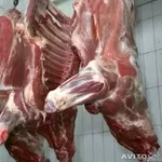 Мясо в Розницу и Оптом Алматы