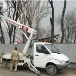 АВТОВЫШКА / КОБРА (телескопическая стрела).