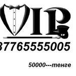 VIP BEELINE NOMER 8776*5555*005