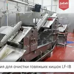 Автоматическая линия для обработки кишок КРС Feleti от производителя!