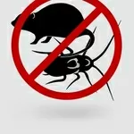 Уничтожение насекомых и грызунов, (клопы, тараканы, блохи, крысы и тд.)