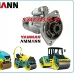 Стартер на каток AMMANN