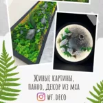 Живые картины панно декор из мха Алматы.