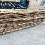 Карагач сухой (обрезной/ необрезной)