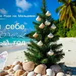 Новый2026 год Огненной Лошади  – ТВОЯ НОВАЯ ЖИЗНЬ! 