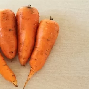 Овощи оптом из Кыргызстана