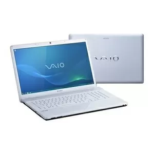 Ноутбук Sony VAIO VPC-EC2M1R 