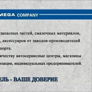 автозапчасти оптом Omega auto parts