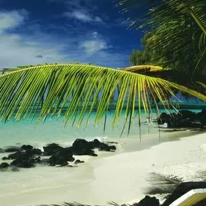 Мальдивы Тур путевки AkAsTravel
