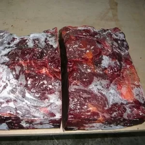 Конина,  мясо,  продажа в г.Алматы