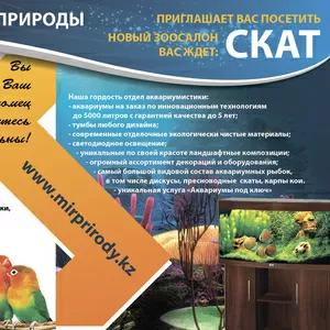 Зоомагазин СКАТ, товары для животных 