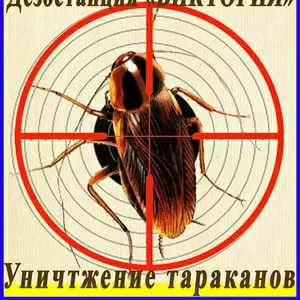 Дезостанция«ВИКТОРИЯ»,  уничтожение тараканов в Алматы и области.