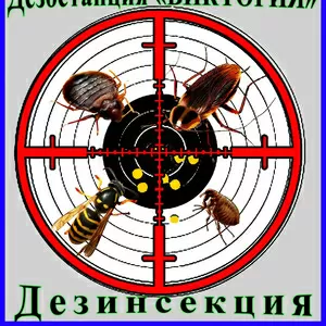 Дезостанция«ВИКТОРИЯ»,  дезинсекция (уничтожение насекомых) в Алматы и области.