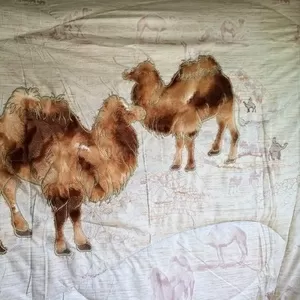 Продам одеяло верблюжье (новое)