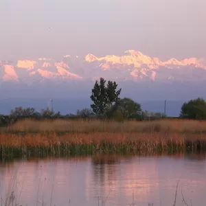 Дача,  Талгарский район,  Нуриинский сельский округ,  12 соток, 2 дома