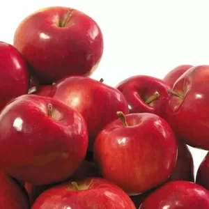 Куплю яблоки, груши,  cухофрукты  в Алматы 200-500 кг в день,  1-3 тонны в неделю. Самовывоз