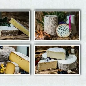 Сыр из Франции рокфор,  камамбер прямые поставки из Европы