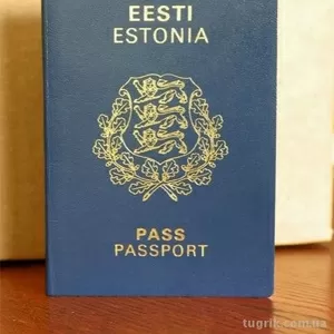 Купить паспорт ЕС