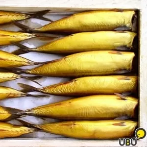 Рыба оптом. Скумбрия (без головы) холодного копчения