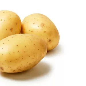 Картофель оптом с полей