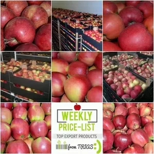 Продам яблоки,  Фрукты,  овощи ОПТом из Польши - Овощи,  фрукты