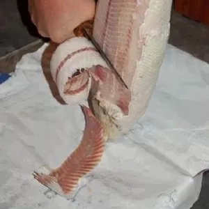  Свежемороженая рыба из Якутии