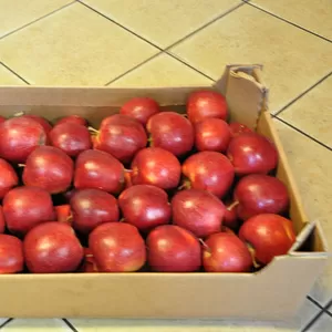 Польское яблоко с доставкой