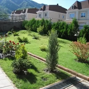 Обслуживание приусадебных участков.Озеленение.