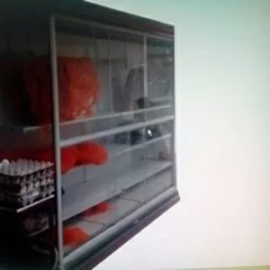  холодилник витрины слаисеры  камера для хранение и костирейзка для мя