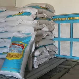 Рис оптом от производителя от 160 тг/кг