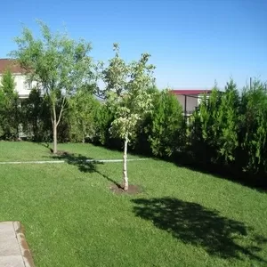 Ландшафтный дизайн.Озеленение.