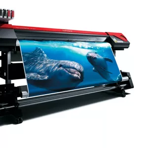 печать плакатов (с днем рождения,  школьные и т.д.) календарей