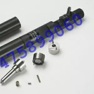 Распылитель форсунки Delphi (Делфи)