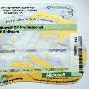 Windows XP Professional Oem 32 64 Bit Russian 