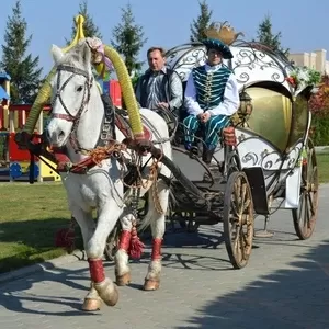 Свадебная карета в Алматы