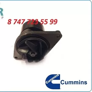 Помпа Cummins Qsb6.7 3800984