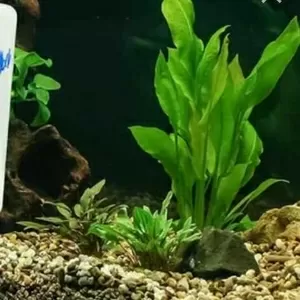 Уборка,  чистка аквариумов 