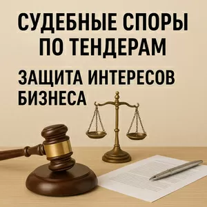  Юрист по тендерам и судебным спорам 