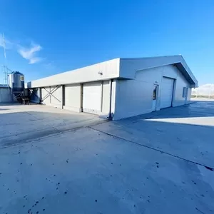 Свиноферма 1400 голов в Румынии