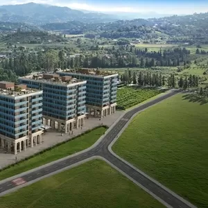 Пространство для жизни в гармонии.